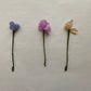 VINT:ISH Blommor