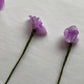 VINT:ISH Blommor
