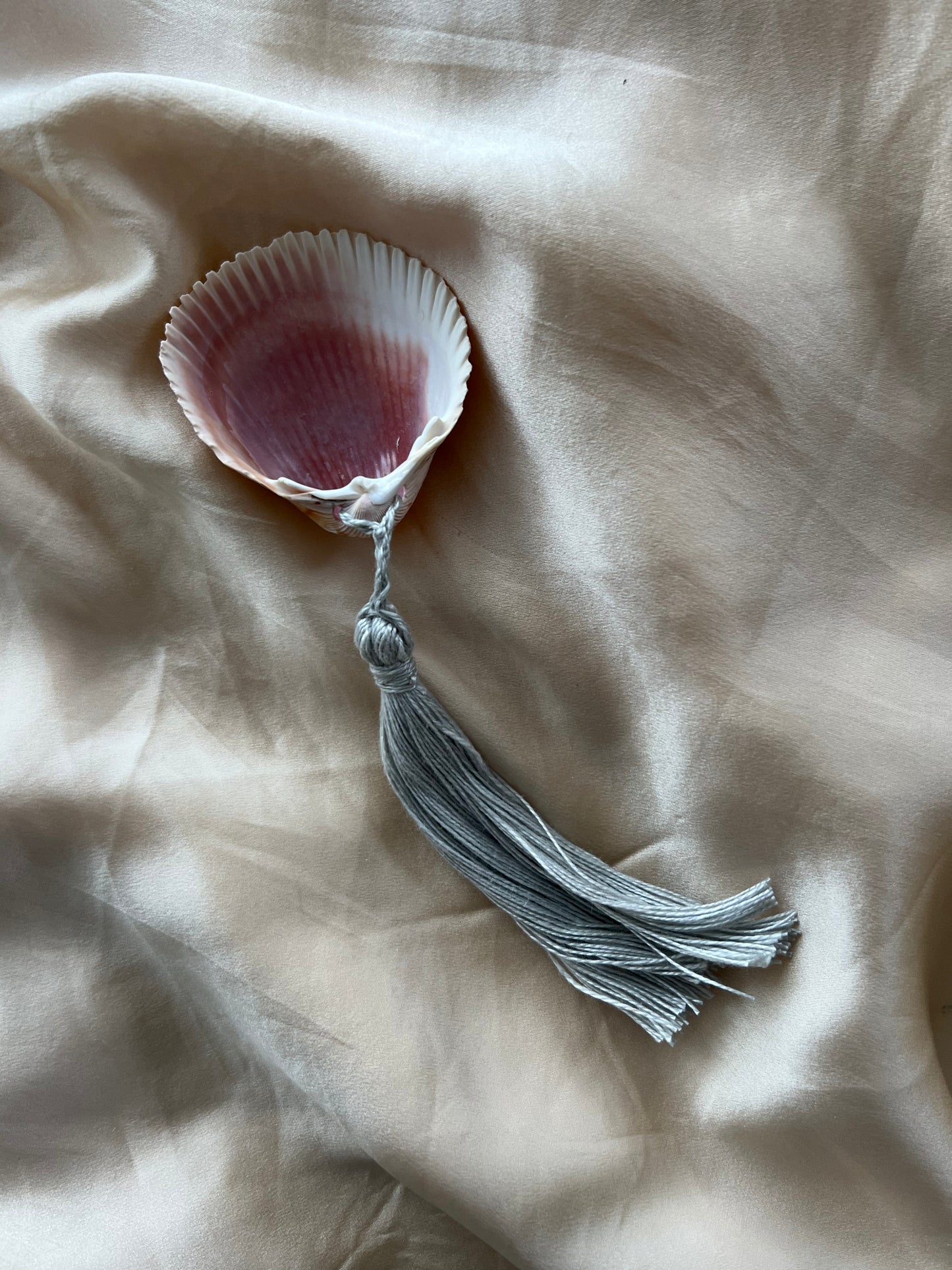 Snäcka med tofs